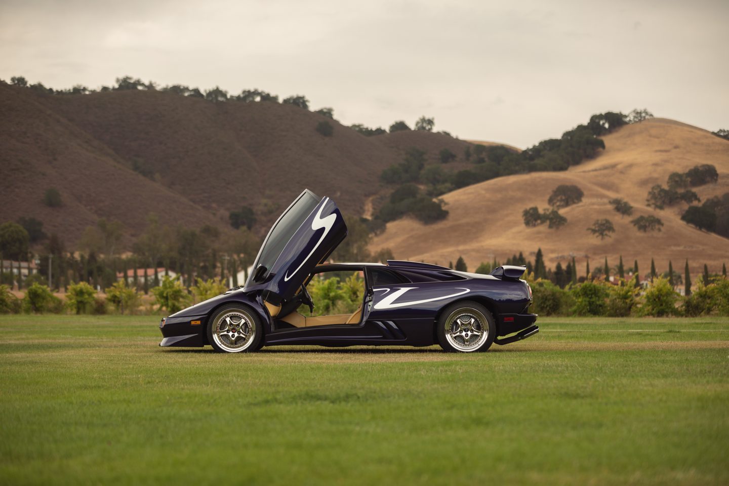 A dark blue Lamborghini Diablo SV with its scissor door up, parked on grass in front of golden hills.
